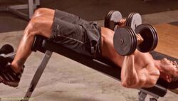 Lower Chest Workout