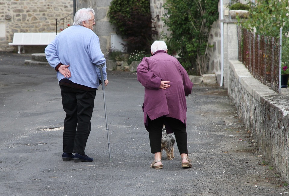 Senior Daycare