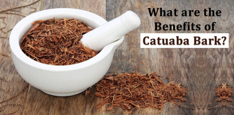What are the Benefits of Catuaba Bark?