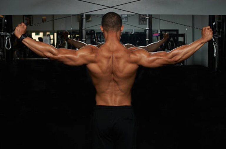 Middle Back Muscles