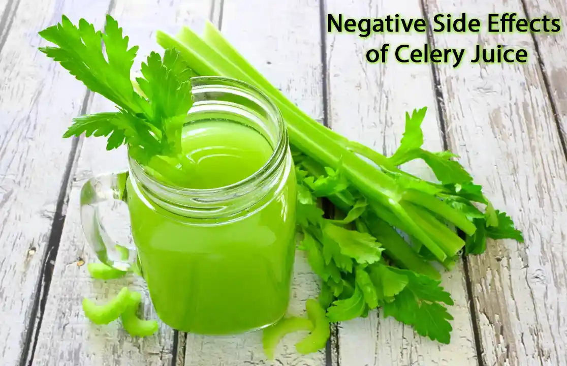 Celery Juice