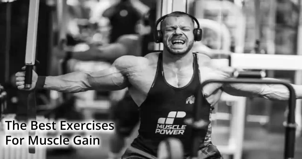 best exercises for muscle gain