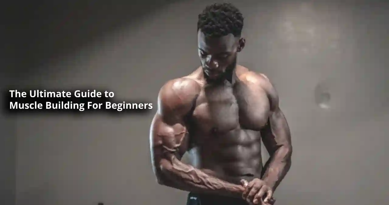 Muscle-Building-For-Beginners